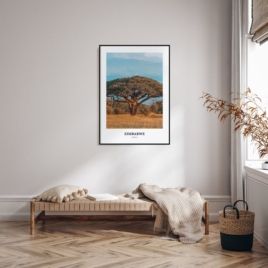 Zimbabwe Portrait Color Poster