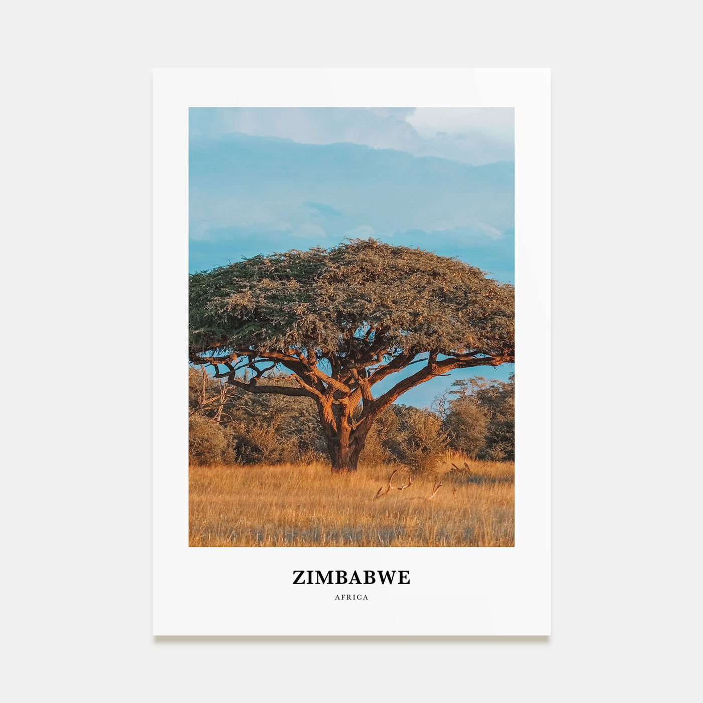 Zimbabwe Portrait Color Poster