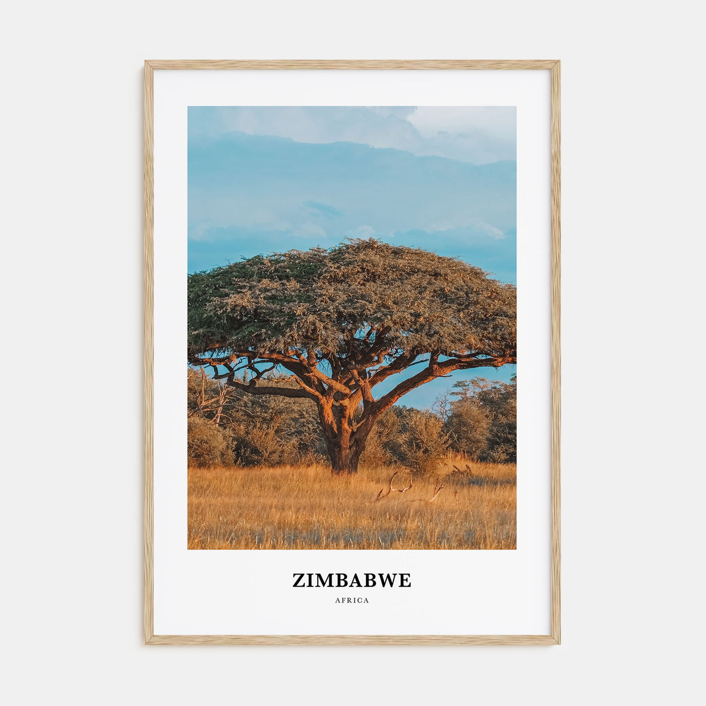 Zimbabwe Portrait Color Poster