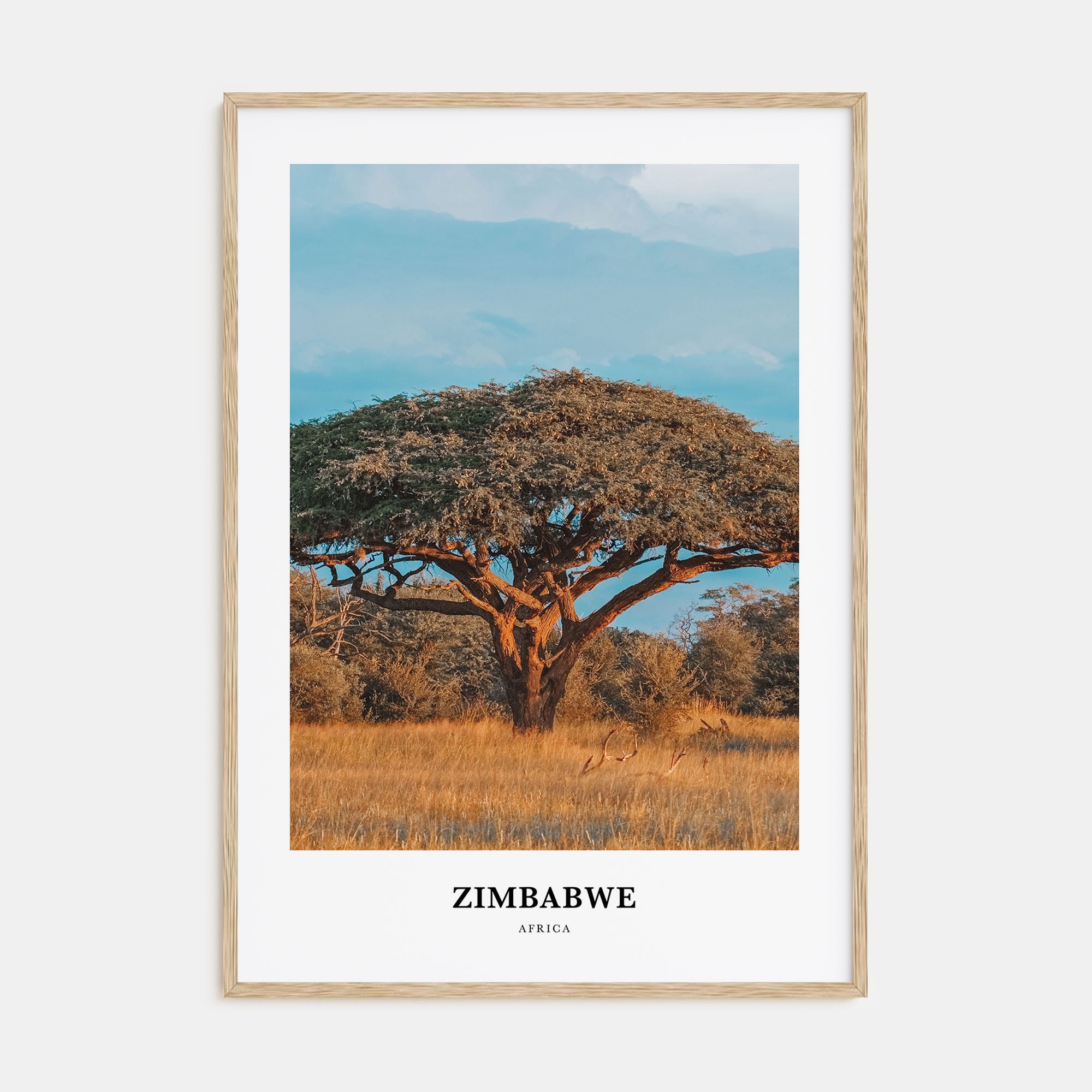 Zimbabwe Portrait Color Poster