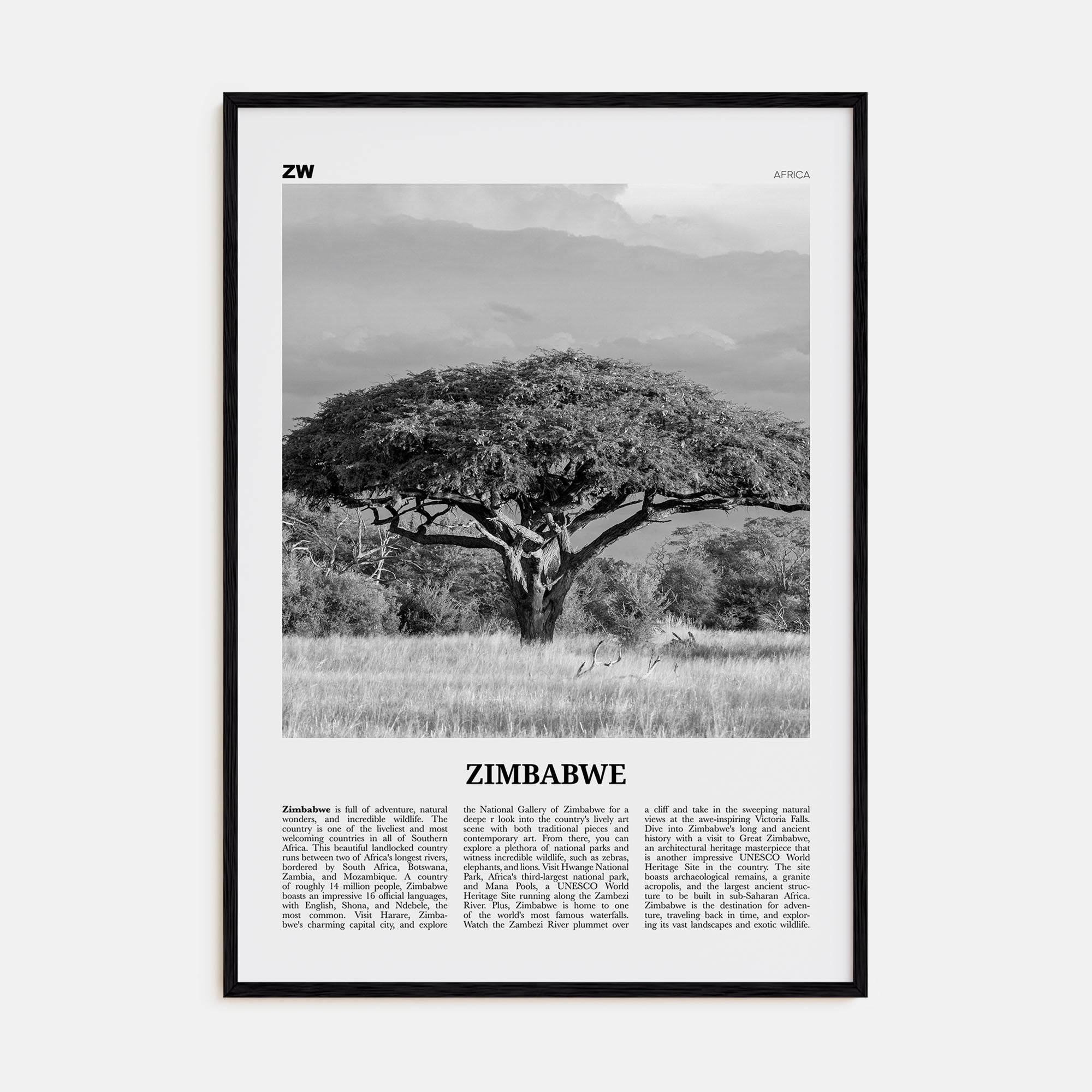 Zimbabwe Travel B&W Poster