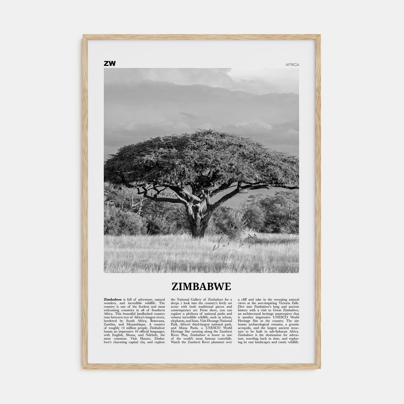 Zimbabwe Travel B&W Poster
