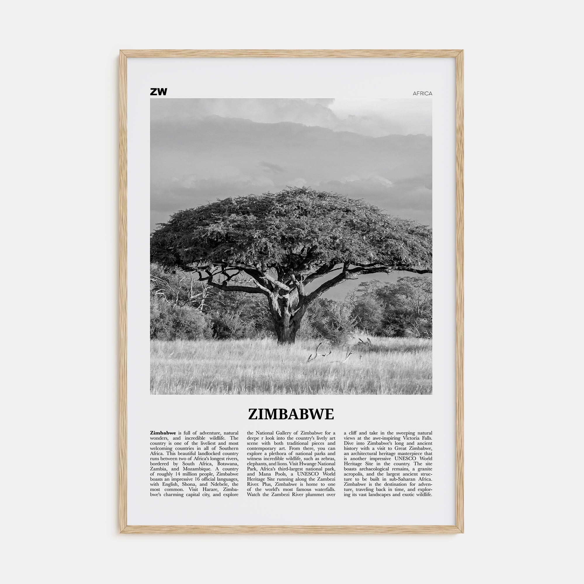 Zimbabwe Travel B&W Poster