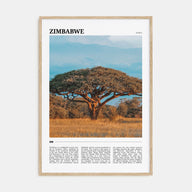 Zimbabwe Travel Color Poster