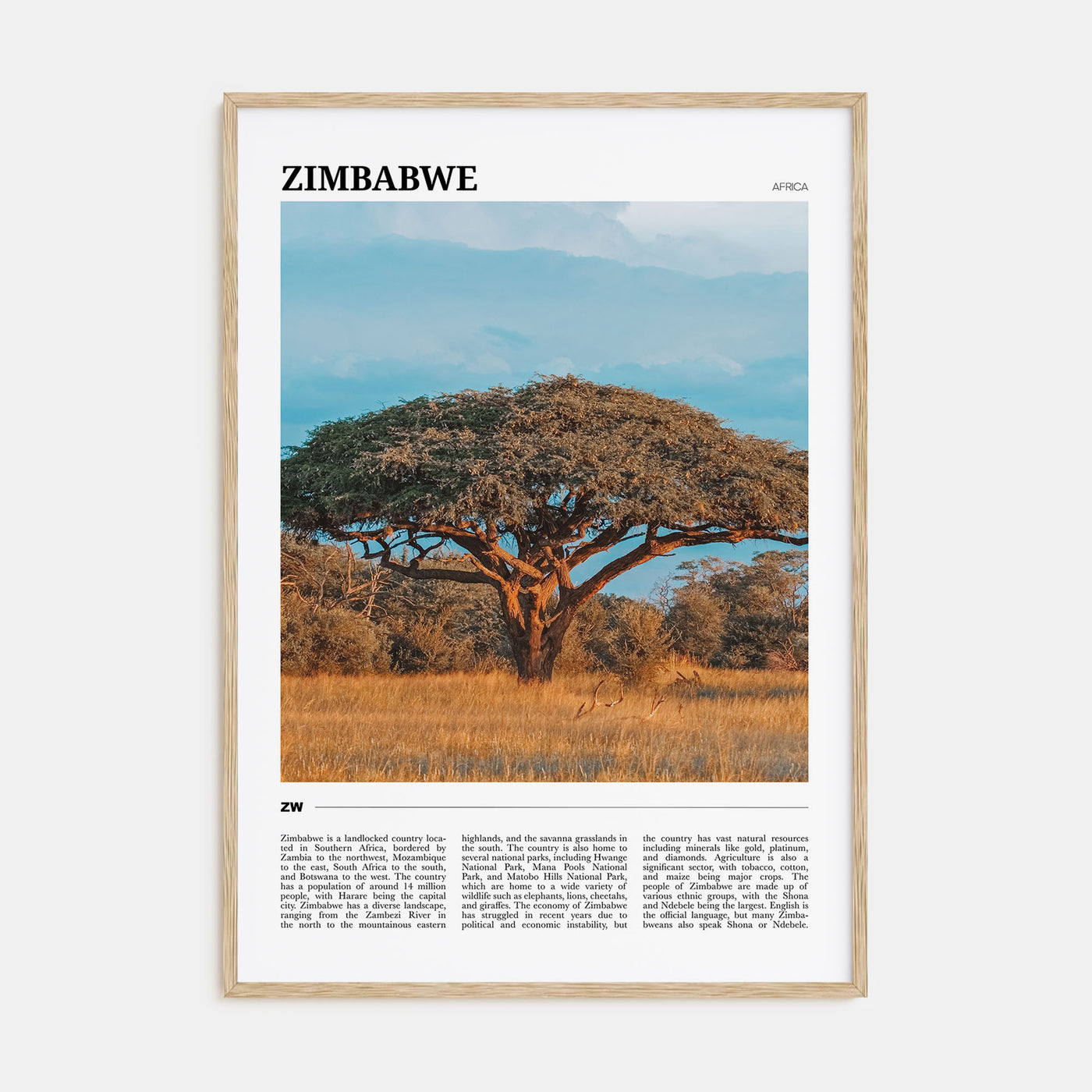 Zimbabwe Travel Color Poster