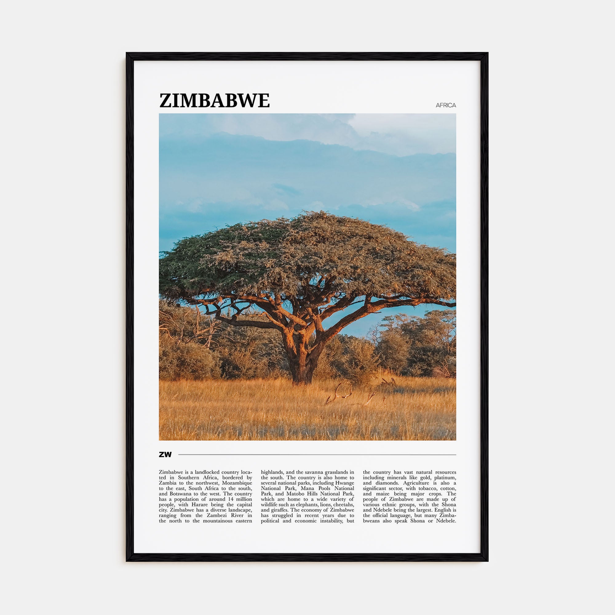Zimbabwe Travel Color Poster