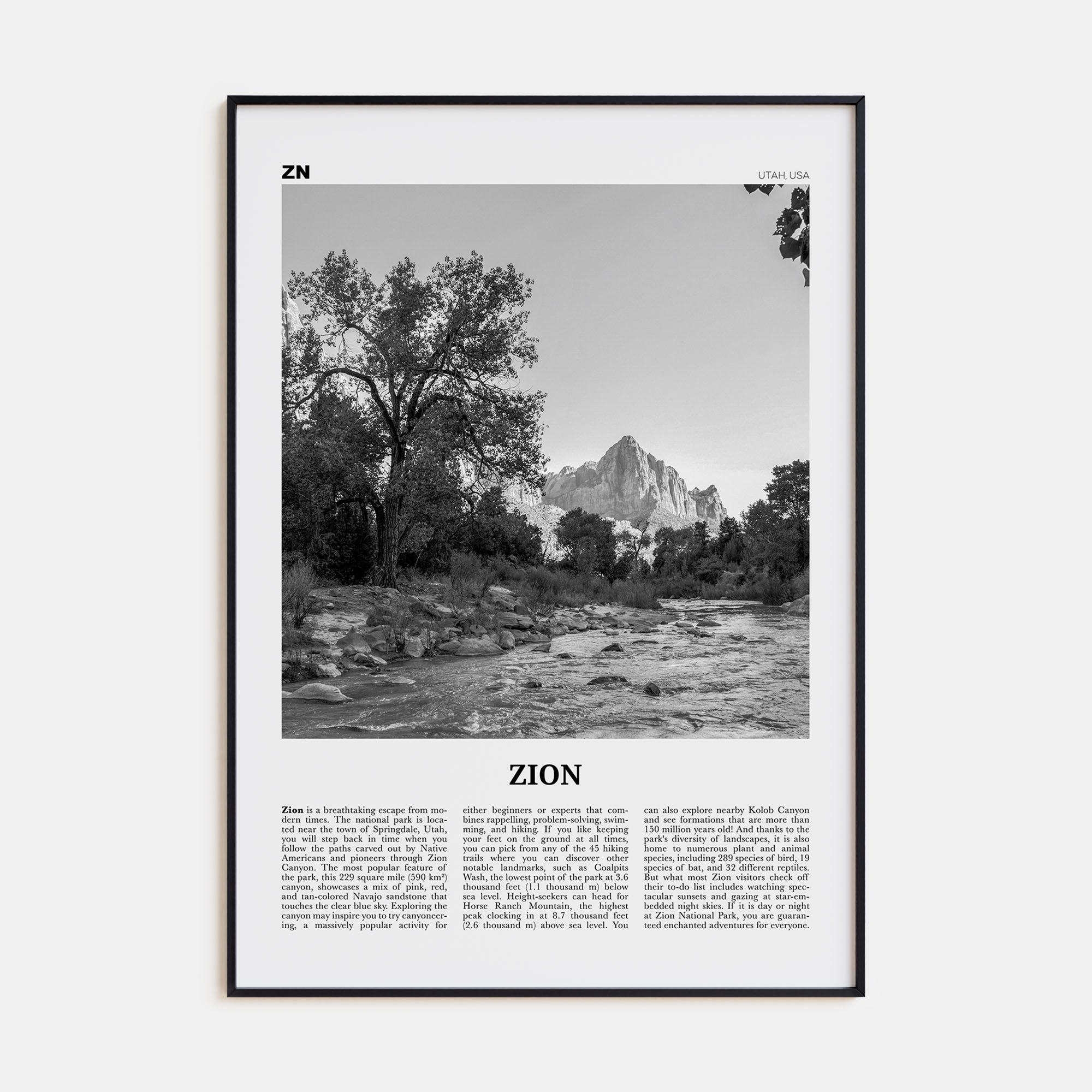 Zion National Park Travel B&W Poster