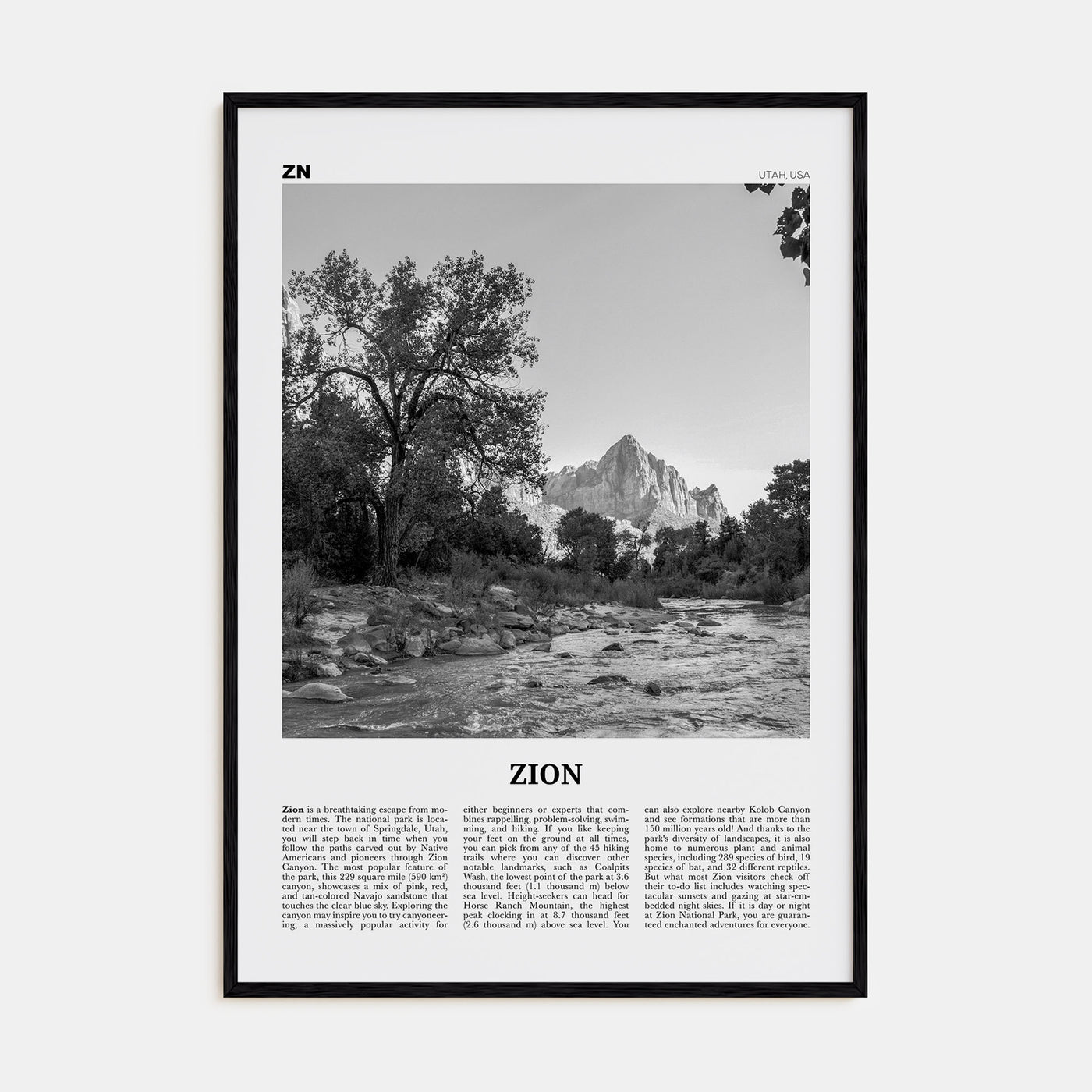 Zion National Park Travel B&W Poster