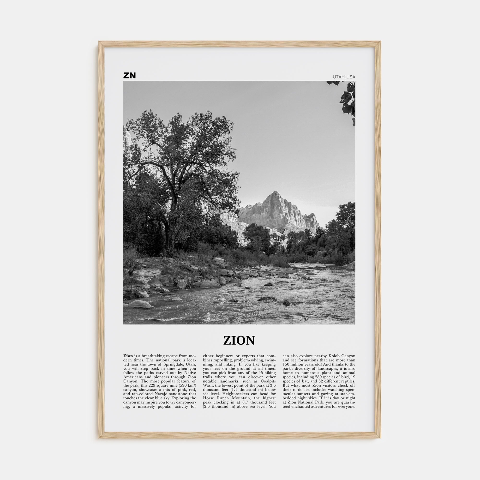 Zion National Park Travel B&W Poster
